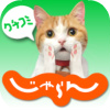 じゃらん観光ガイド
